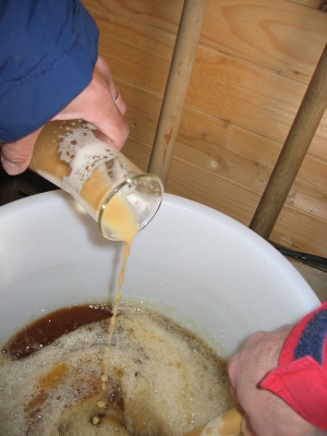 Den Zeug (Hefe) geben