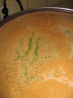 Hopfenkochen