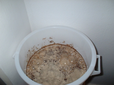 Schaum